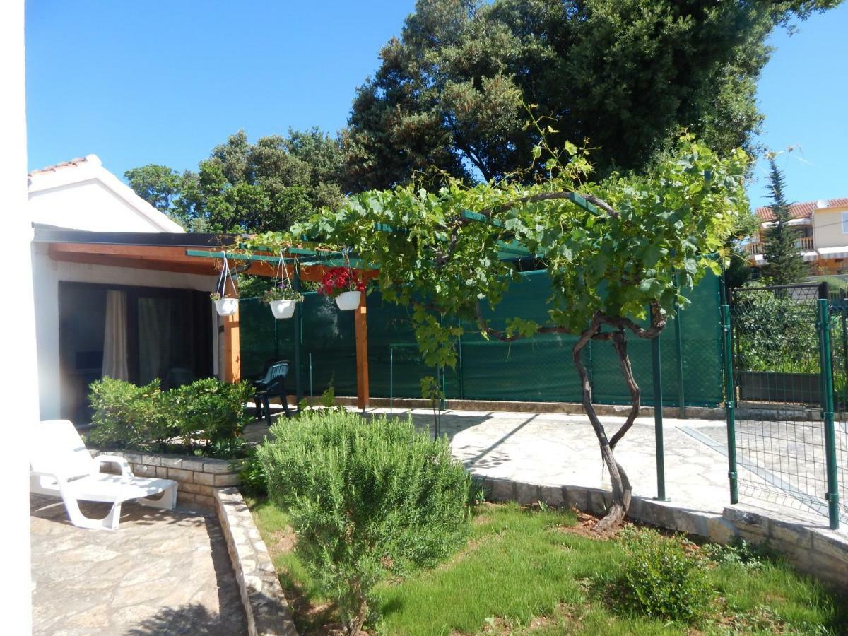 Duje Apartment Petrcane