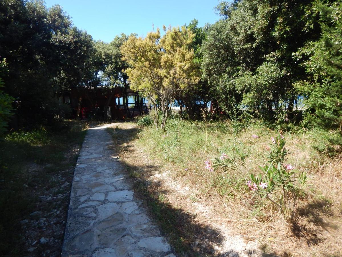 Apartament Duje *